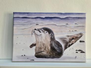 Seehund Robbe Heuler Kegelrobbe DK10 Aquarell Watercolor Tier Bild Druck auf Leinwand Keilrahmen 30 x 20 cm